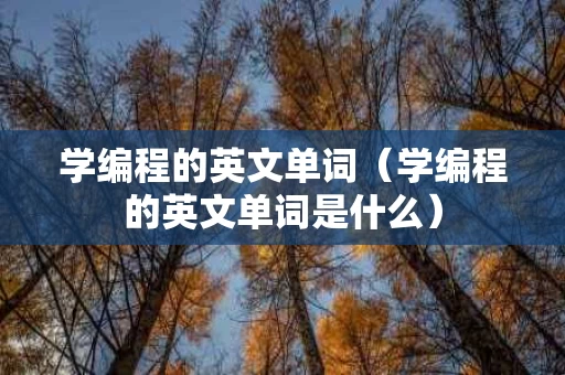 学编程的英文单词（学编程的英文单词是什么）