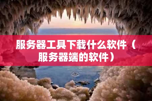 服务器工具下载什么软件（服务器端的软件）