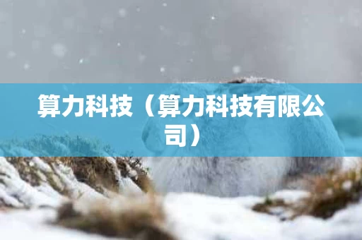 算力科技（算力科技有限公司）