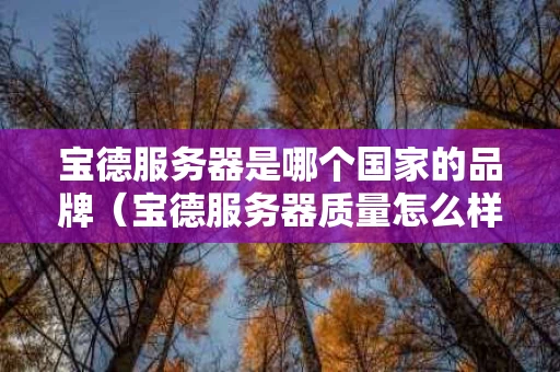 宝德服务器是哪个国家的品牌（宝德服务器质量怎么样）