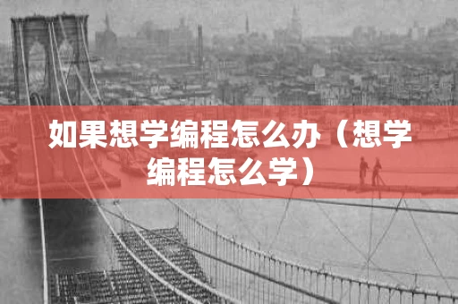 如果想学编程怎么办（想学编程怎么学）