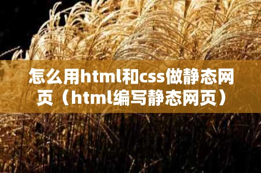 怎么用html和css做静态网页（html编写静态网页）