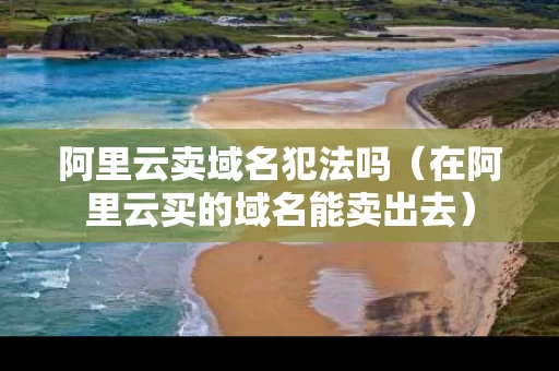 阿里云卖域名犯法吗（在阿里云买的域名能卖出去）