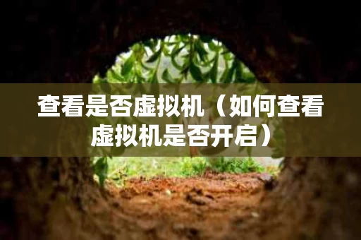 查看是否虚拟机（如何查看虚拟机是否开启）