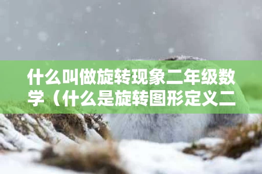什么叫做旋转现象二年级数学（什么是旋转图形定义二年级）