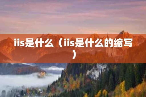 iis是什么（iis是什么的缩写）