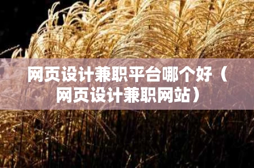 网页设计兼职平台哪个好（网页设计兼职网站）