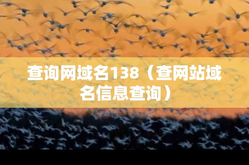 查询网域名138（查网站域名信息查询）