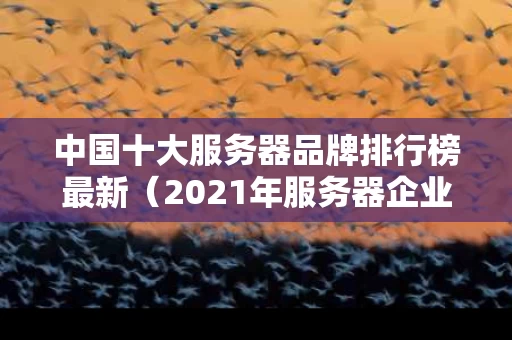 中国十大服务器品牌排行榜最新（2021年服务器企业十大品牌）