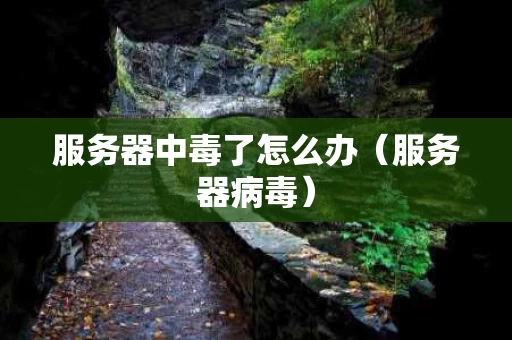 服务器中毒了怎么办（服务器病毒）