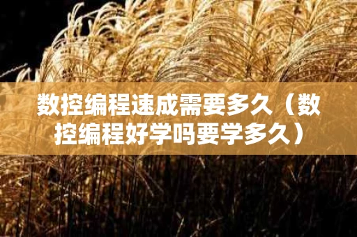 数控编程速成需要多久（数控编程好学吗要学多久）