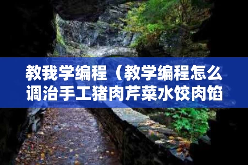教我学编程（教学编程怎么调治手工猪肉芹菜水饺肉馅）
