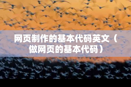 网页制作的基本代码英文（做网页的基本代码）
