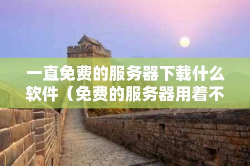 一直免费的服务器下载什么软件（免费的服务器用着不放心）