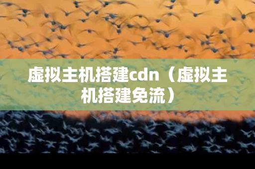 虚拟主机搭建cdn（虚拟主机搭建免流）
