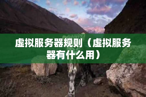 虚拟服务器规则（虚拟服务器有什么用）