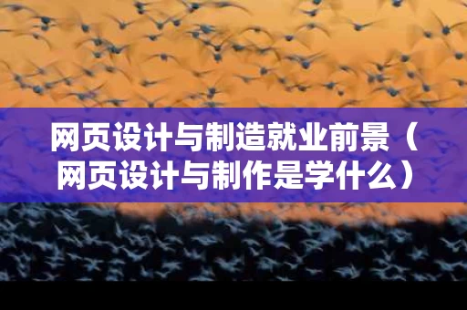 网页设计与制造就业前景（网页设计与制作是学什么）