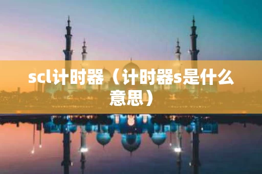 scl计时器（计时器s是什么意思）
