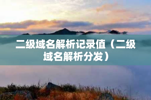 二级域名解析记录值（二级域名解析分发）