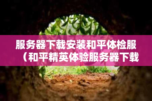 服务器下载安装和平体检服（和平精英体验服务器下载）