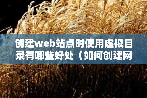 创建web站点时使用虚拟目录有哪些好处（如何创建网站的虚拟目录）