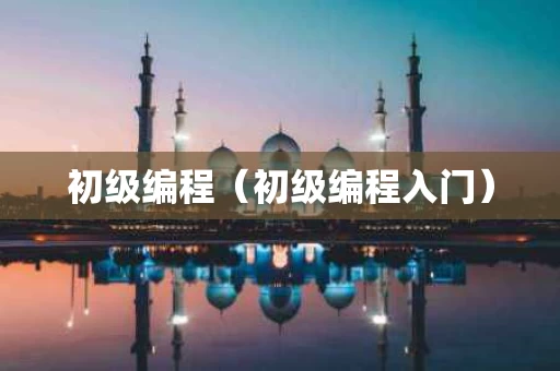 初级编程（初级编程入门）
