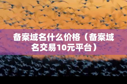 备案域名什么价格（备案域名交易10元平台）