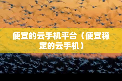 便宜的云手机平台（便宜稳定的云手机）