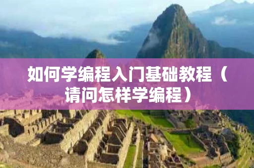 如何学编程入门基础教程（请问怎样学编程）
