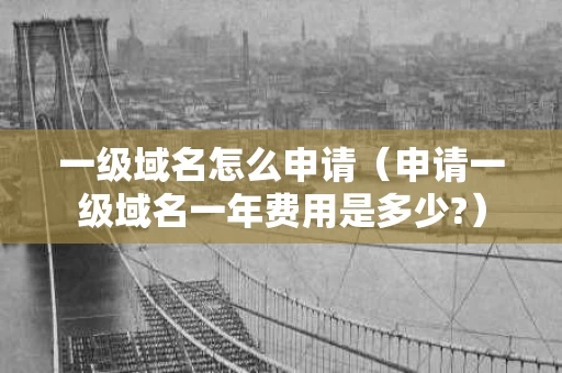 一级域名怎么申请（申请一级域名一年费用是多少?）