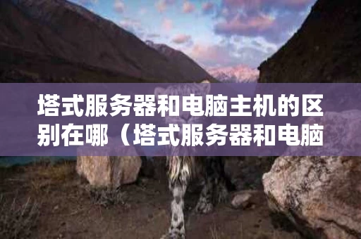 塔式服务器和电脑主机的区别在哪（塔式服务器和电脑主机的区别在哪里）