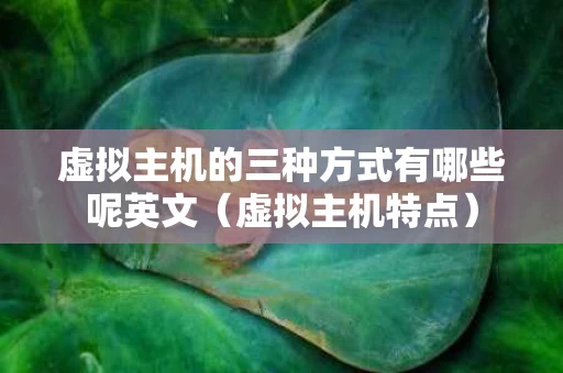 虚拟主机的三种方式有哪些呢英文（虚拟主机特点）