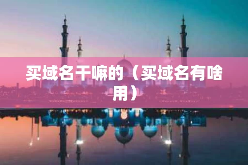 买域名干嘛的（买域名有啥用）