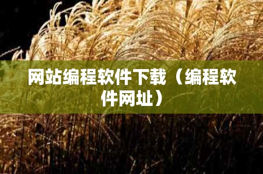 网站编程软件下载（编程软件网址）
