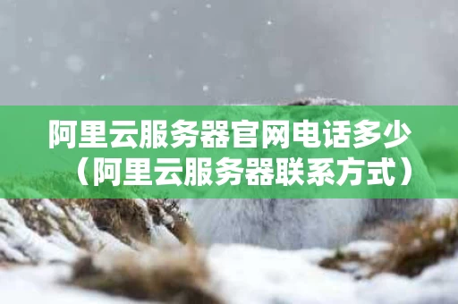 阿里云服务器官网电话多少（阿里云服务器联系方式）