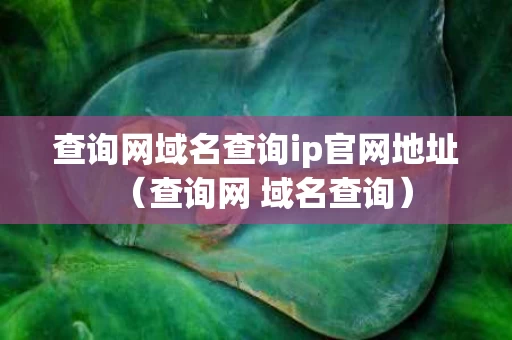 查询网域名查询ip官网地址（查询网 域名查询）