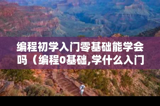 编程初学入门零基础能学会吗（编程0基础,学什么入门）
