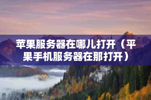 苹果服务器在哪儿打开（平果手机服务器在那打开）