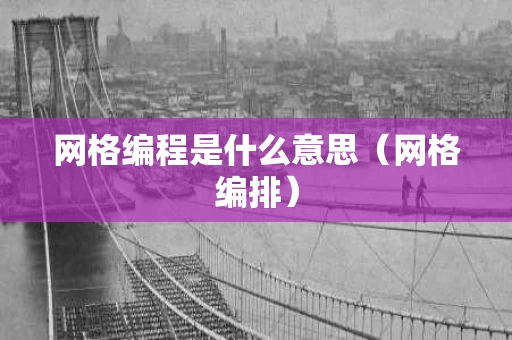 网格编程是什么意思（网格编排）