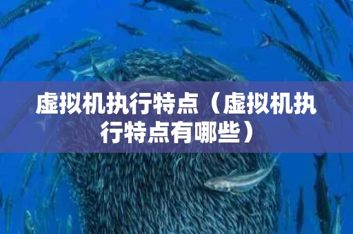 虚拟机执行特点（虚拟机执行特点有哪些）
