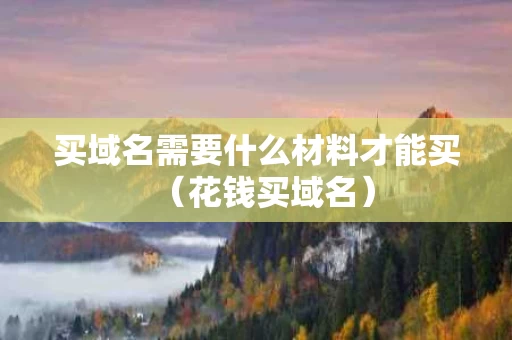 买域名需要什么材料才能买（花钱买域名）