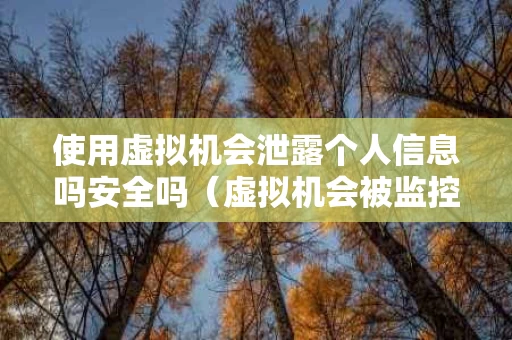 使用虚拟机会泄露个人信息吗安全吗（虚拟机会被监控吗）