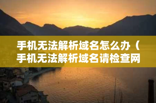手机无法解析域名怎么办（手机无法解析域名请检查网络）