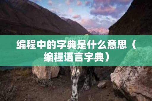 编程中的字典是什么意思（编程语言字典）
