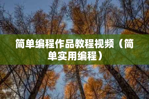 简单编程作品教程视频（简单实用编程）