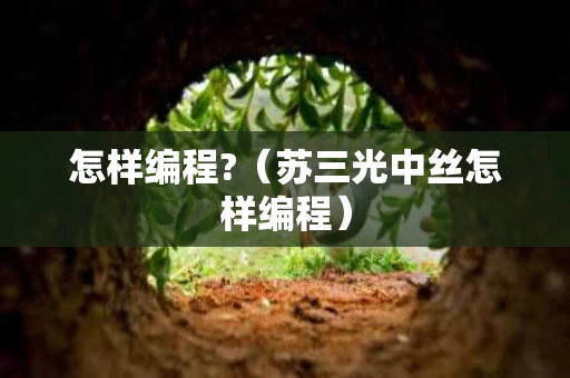 怎样编程?（苏三光中丝怎样编程）