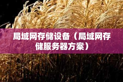 局域网存储设备（局域网存储服务器方案）