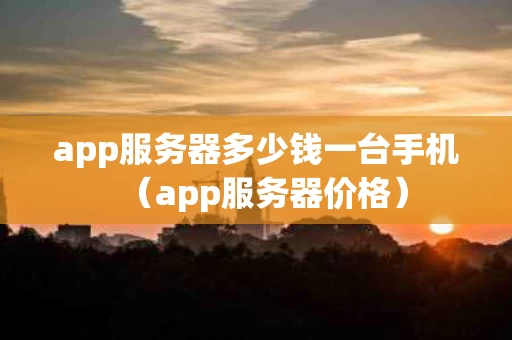 app服务器多少钱一台手机（app服务器价格）