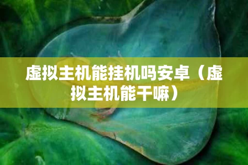 虚拟主机能挂机吗安卓（虚拟主机能干嘛）