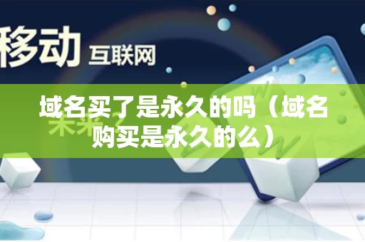域名买了是永久的吗（域名购买是永久的么）